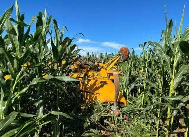 Aumento nos acidentes aéreos agrícolas em Mato Grosso preocupa setor