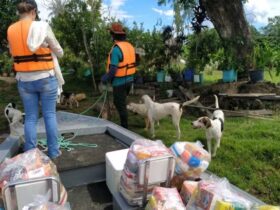 Associação promove campanha de ajuda a comunidades ribeirinhas e animais no Pantanal de Mato Grosso