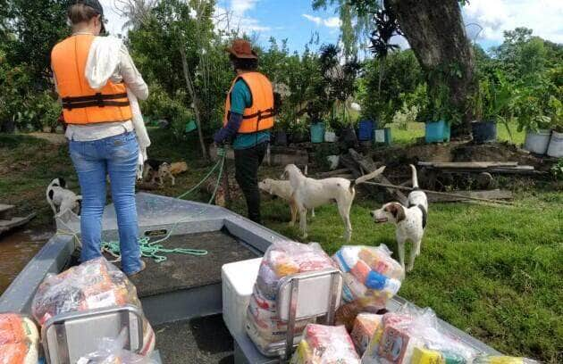 Associação promove campanha de ajuda a comunidades ribeirinhas e animais no Pantanal de Mato Grosso