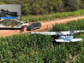 Avião cai em milharal e dois suspeitos são presos transportando armas e munições