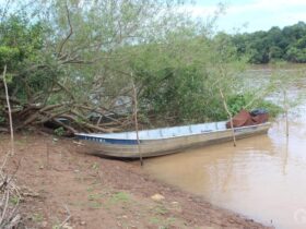 Alem de desmatar 81 mil hectares pecuarista causou secamento e poluicao de rio em Mato Grosso