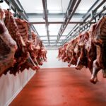 Carne bovina - Fotos do Canva