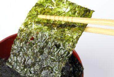 Como fazer salgueiro grelhado no sal