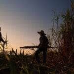 Conflitos de terra afetaram mais de 20 mil pessoas em Mato Grosso em 2023