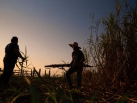 Conflitos de terra afetaram mais de 20 mil pessoas em Mato Grosso em 2023