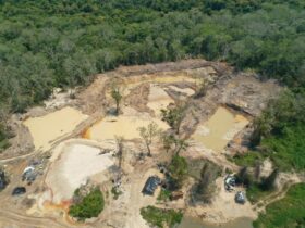 Conselho Nacional do Ministério Público rejeita acordo para suspeito de crimes em terra indígena em Mato Grosso