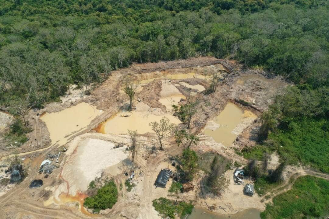 Conselho Nacional do Ministério Público rejeita acordo para suspeito de crimes em terra indígena em Mato Grosso