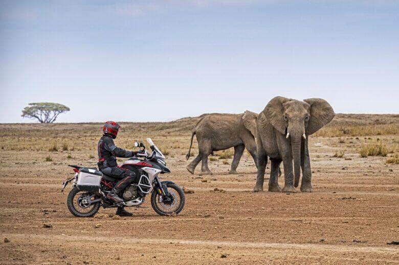 Ducati estreia versão da Multistrada V4 Rally Adventure no Brasil