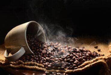 Mato Grosso impulsiona cafeicultura com crescimento recorde