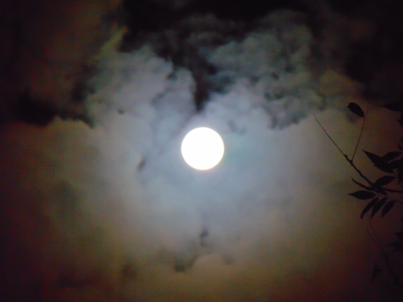 Lua Cheia em Áries - Canva