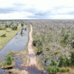 Ministério Público de Mato Grosso recorre de decisão sobre prisão preventiva em caso de desmate no Pantanal