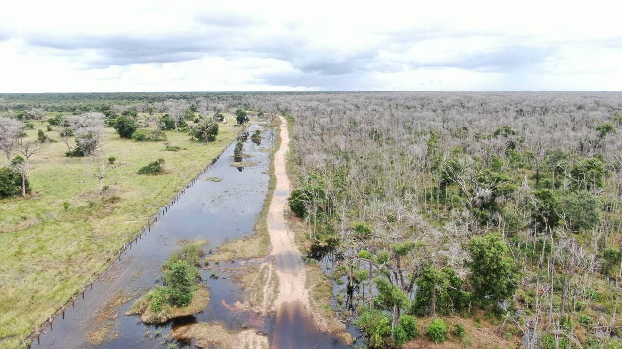 Ministério Público de Mato Grosso recorre de decisão sobre prisão preventiva em caso de desmate no Pantanal