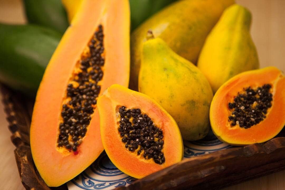 Papaya - Fotos do Canva1 (1)