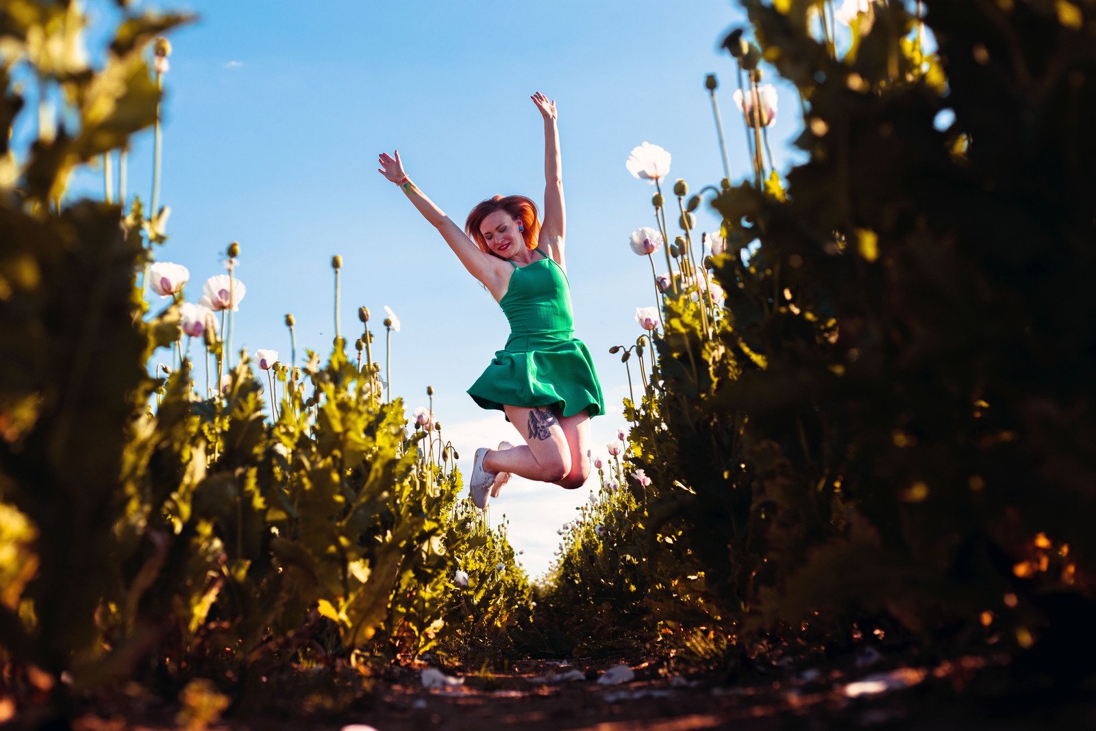 Signos que estão no lugar certo, mulher feliz - Fotos do Canva1 (5)