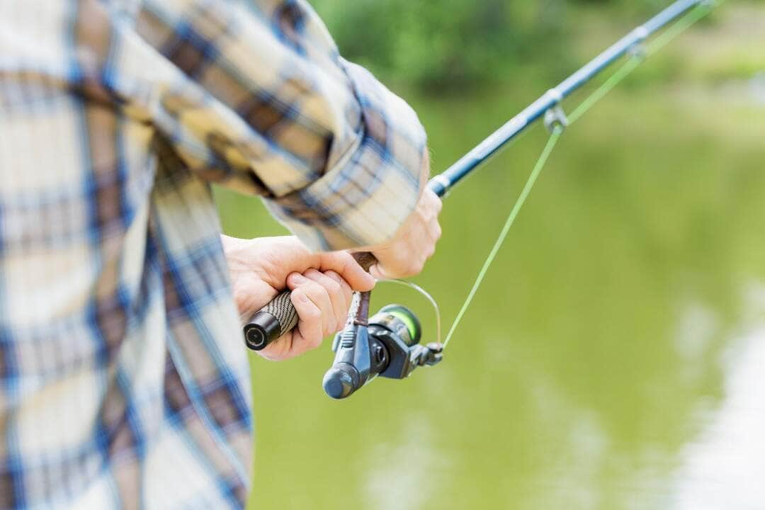 Summer Fishing - Fotos do Canva