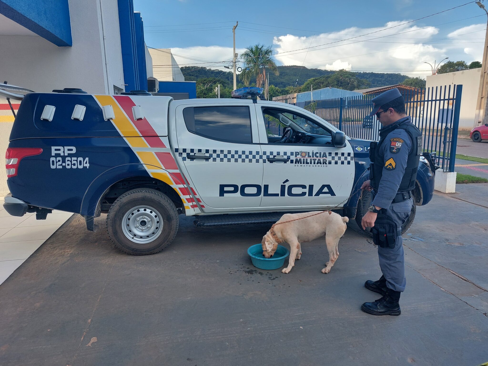 Homem é preso em Nobres por maus-tratos após amarrar cachorro em engate de carro