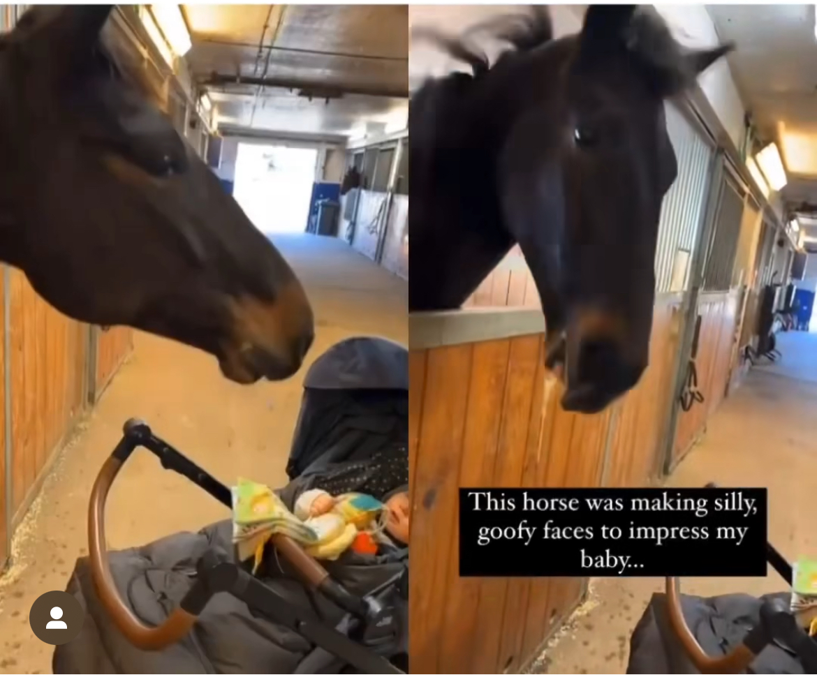 Cavalo faz caretas e balança a cabeça para fazer o bebê sorrir