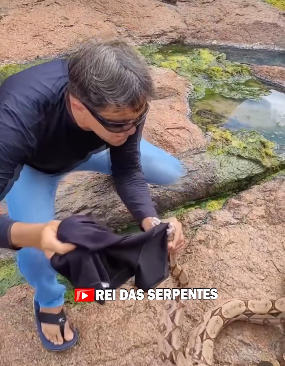 "Encontro hipnotizante: especialista Haroldo Bauer mostra técnica para Capturar cobra jiboia"