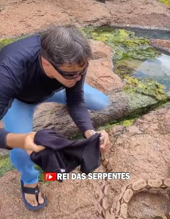 "Encontro hipnotizante: especialista Haroldo Bauer mostra técnica para Capturar cobra jiboia"