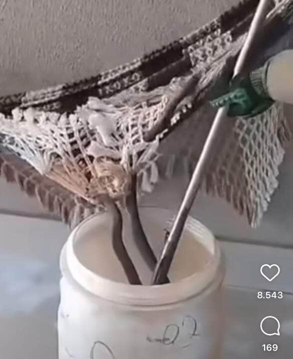 Cobra escondida em rede: bombeiros resgatam animal silvestre em residência