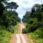 Estrada que leva ao distrito de Guariba e marca o limite da Terra Indígena Kawahiva do Rio Pardo (Marcelo Camargo/Agência Brasil)