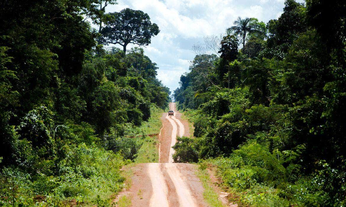 Estrada que leva ao distrito de Guariba e marca o limite da Terra Indígena Kawahiva do Rio Pardo (Marcelo Camargo/Agência Brasil)