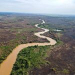 Ano de 2024 pode ser um dos mais secos da história do Pantanal - Foto: Divulgação