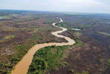 Ano de 2024 pode ser um dos mais secos da história do Pantanal - Foto: Divulgação