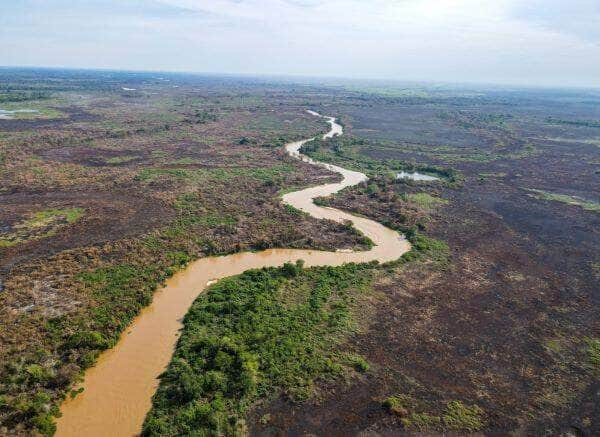 Ano de 2024 pode ser um dos mais secos da história do Pantanal - Foto: Divulgação