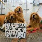 Brasília (DF) 28/04/2024 Tutores de pets fazem protesto no Aeroporto Juscelino Kubitschek de Brasília cobrando justiça pela morte do Golden Retriever Joca, durante viagem aérea. Foto: Fabio Rodrigues-Pozzebom/ Agência Brasil