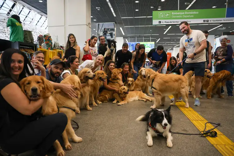 Brasília (DF) 28/04/2024 Tutores de pets fazem protesto no Aeroporto Juscelino Kubitschek de Brasília cobrando justiça pela morte do Golden Retriever Joca, durante viagem aérea. Foto: Fabio Rodrigues-Pozzebom/ Agência Brasil