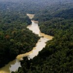 El parque ambiental de Jamanxim es un santuario ecológico de 1. 300 hectáreas donde viven especies autóctonas de la Amazonia Por: Leonardo Milano/ICMBio