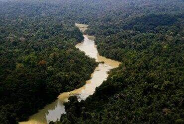 El parque ambiental de Jamanxim es un santuario ecológico de 1. 300 hectáreas donde viven especies autóctonas de la Amazonia Por: Leonardo Milano/ICMBio