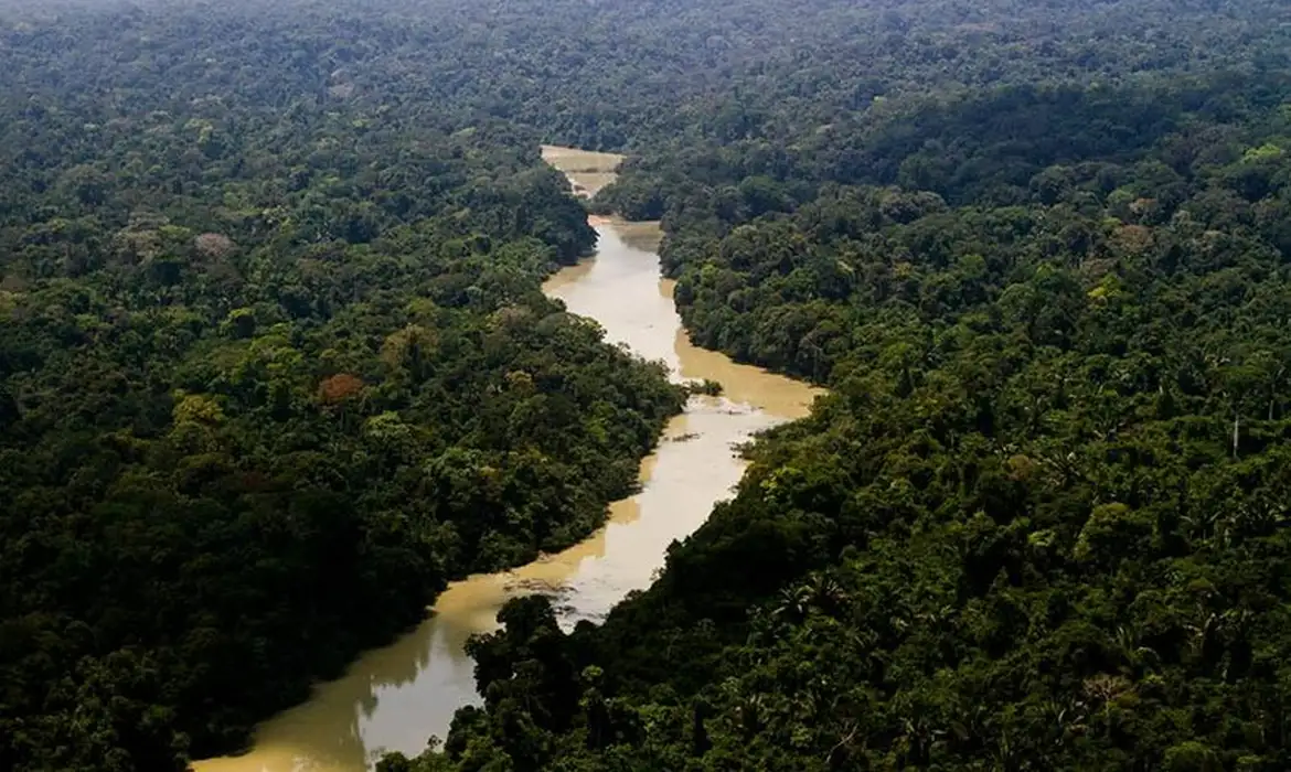 El parque ambiental de Jamanxim es un santuario ecológico de 1. 300 hectáreas donde viven especies autóctonas de la Amazonia Por: Leonardo Milano/ICMBio