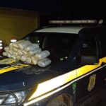 Mais de 10kg de maconha são apreendidos em ação conjunta da Polícia Civil e PRF na BR-070 em Cáceres