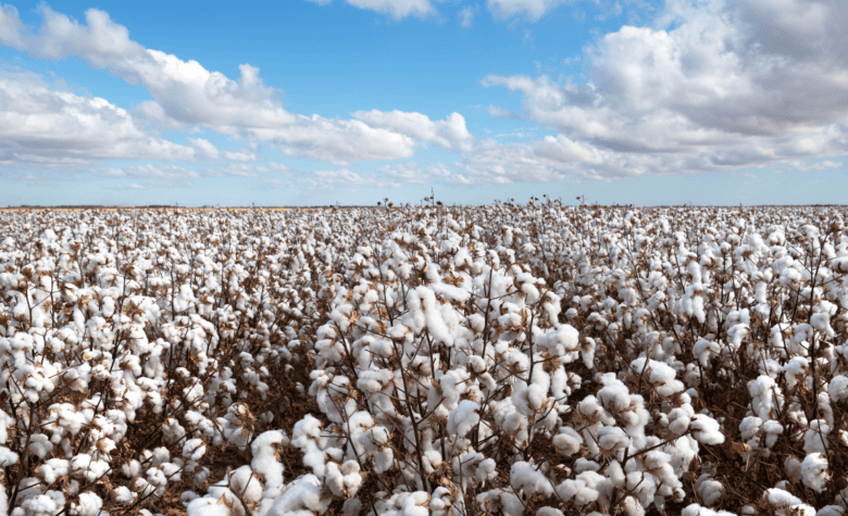 Exportações do agronegócio brasileiro batem recorde no primeiro trimestre de 2024 e atingem US$ 37,44 bilhões