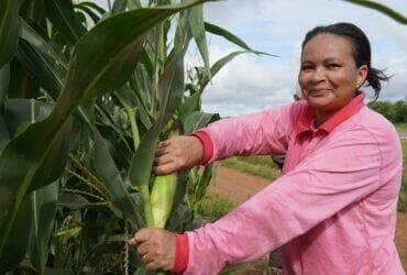 festa do milho mais de 80 mil espigas serao utilizadas na producao de alimentos capa 2024 04 11 2024 04 11 937111131