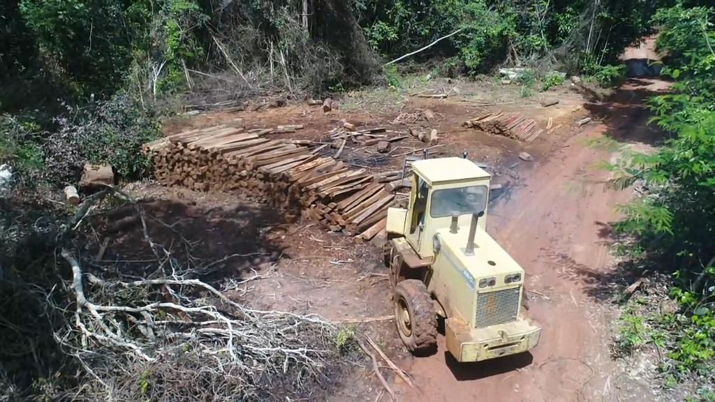 fiscalizacao da sema apreende madeira e trator usado para desmatamento ilegal em marcelandia interna 1 2024 04 20 1344292189