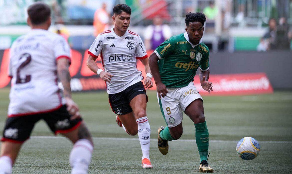 palmeiras, flamengo, brasileiro Por: Cesar Greco/Palmeiras/Direitos Reservados