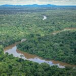 Governo lança parceria para combater incêndios e desmatamento na Amazônia - Felipe Werneck/Ibama