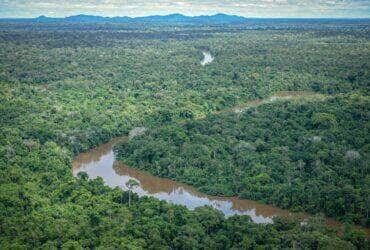 Governo lança parceria para combater incêndios e desmatamento na Amazônia - Felipe Werneck/Ibama