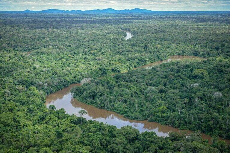 Governo lança parceria para combater incêndios e desmatamento na Amazônia - Felipe Werneck/Ibama