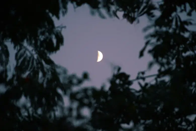 lua horoscopo