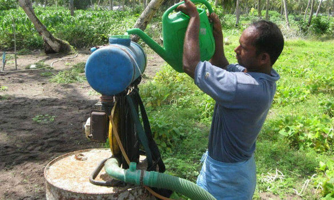 Pesquisas que mostram que os agrotóxicos causam cerca de 200 mil mortes por envenenamento a cada ano em todo o mundo Por: FAO/Harry Vander Wul/ONU