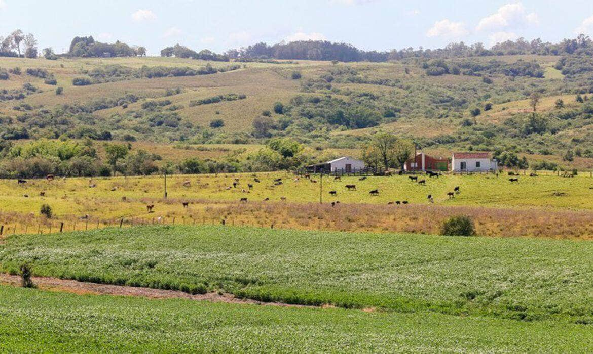 pampa e o bioma brasileiro menos protegido por unidades de conservacao capa 2024 04 24 2024 04 24 1854734177