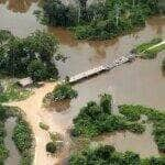 PF, Força Nacional e a Funai destroem ponte clandestina no PA. Foto: Polícia Federal