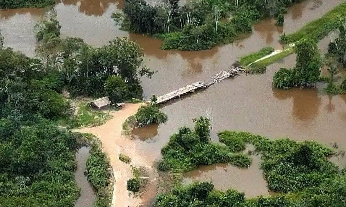 PF, Força Nacional e a Funai destroem ponte clandestina no PA. Foto: Polícia Federal