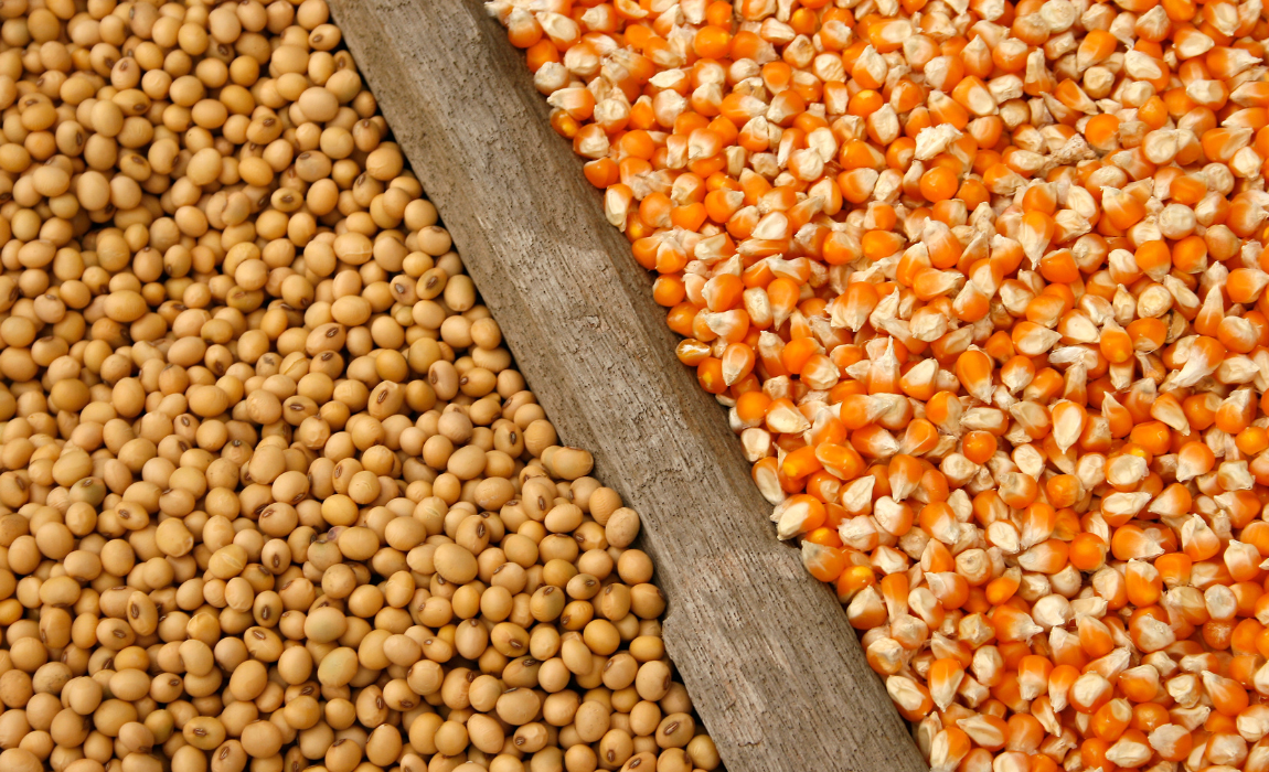 Portos do arco norte representam 31,6% das exportações de milho e soja, em março