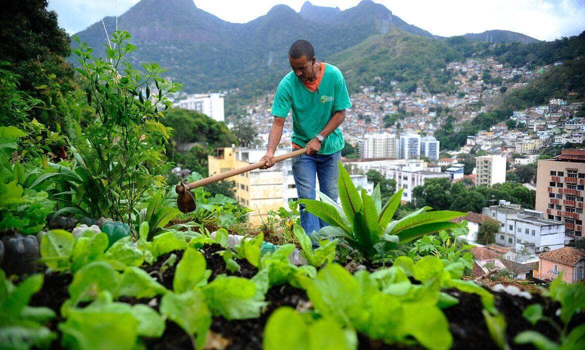 Projeto mobiliza moradores das comunidades pacificadas implementando agricultura sustentável em hortas comunitárias. Na foto, o morador do Morro da Formiga, Wallace da Silva Rosa (Tomaz Silva/Agência Brasil) Por: 05 18:18:56