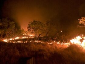 20-02-2024 Queimadas e incêndios em Amajari – Roraima - Foto Jader Souza/AL Roraima